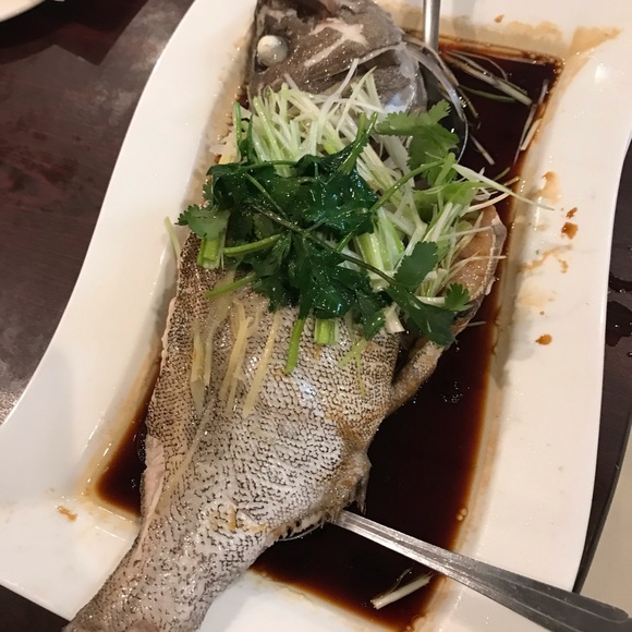 ANYTHING - Picture 12 of 16